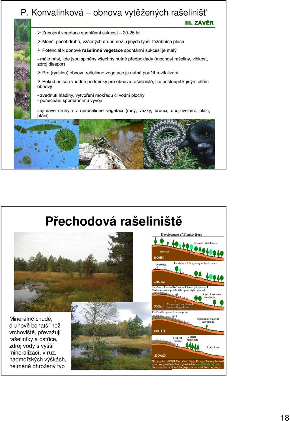 vrchoviště, převažují rašeliníky a ostřice, zdroj vody s