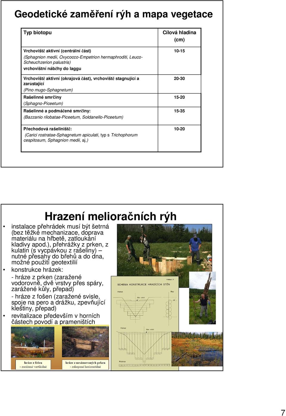 Soldanello-Piceetum) Přechodová rašeliniště: (Carici rostratae-sphagnetum apiculati, typ s Trichophorum cespitosum, Sphagnion medii, aj.