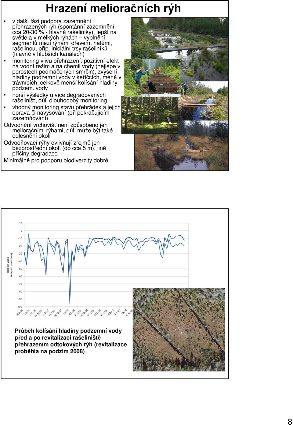 iniciální trsy rašeliníků (hlavně v hlubších kanálech) monitoring vlivu přehrazení: pozitivní efekt na vodní režim a na chemii vody (nejlépe v porostech podmáčených smrčin), zvýšení hladiny podzemní
