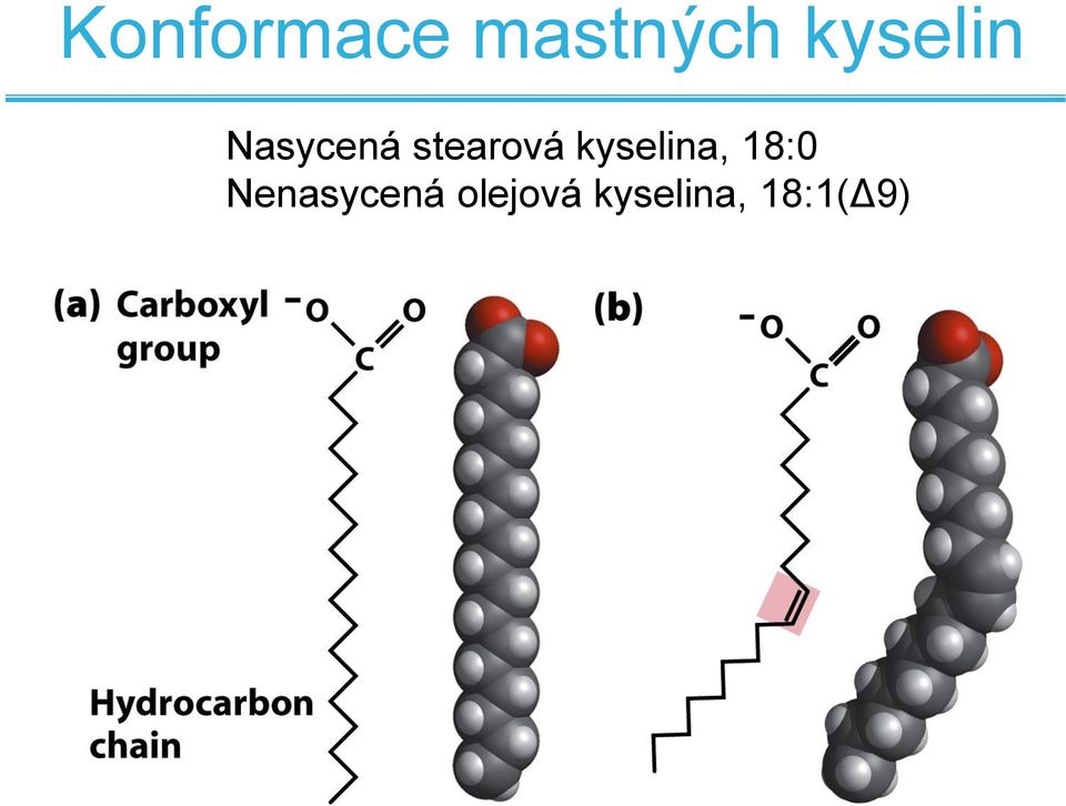 stearová kyselina, 18:0