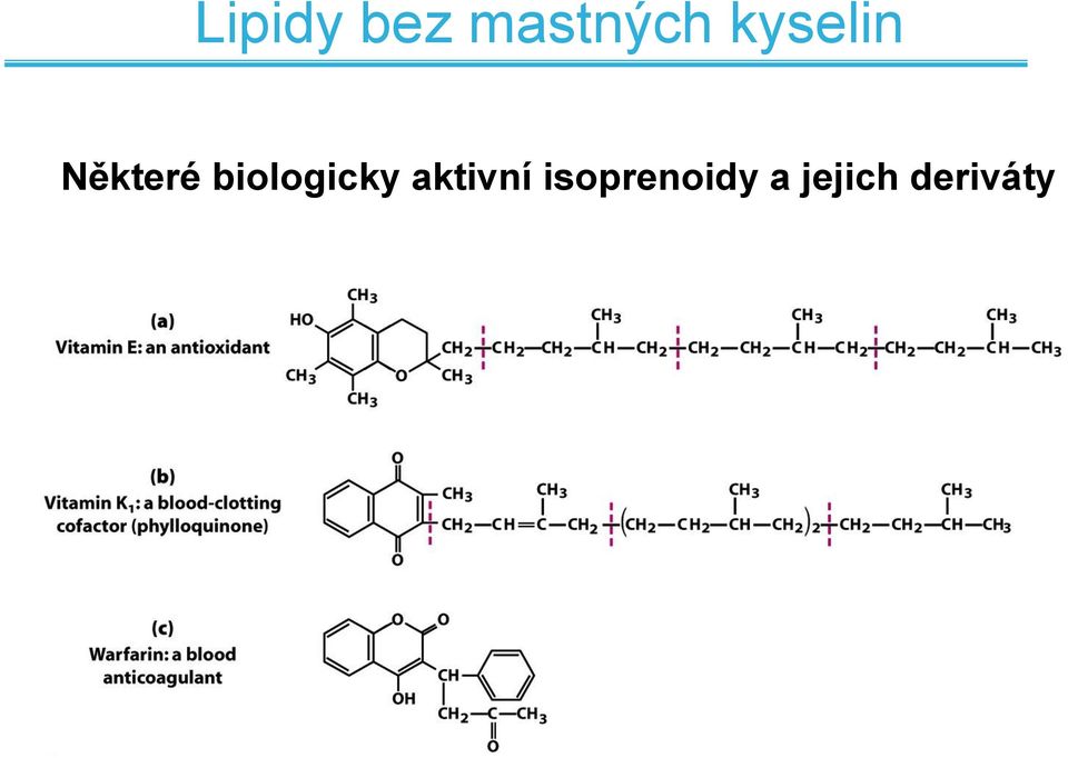 biologicky aktivní