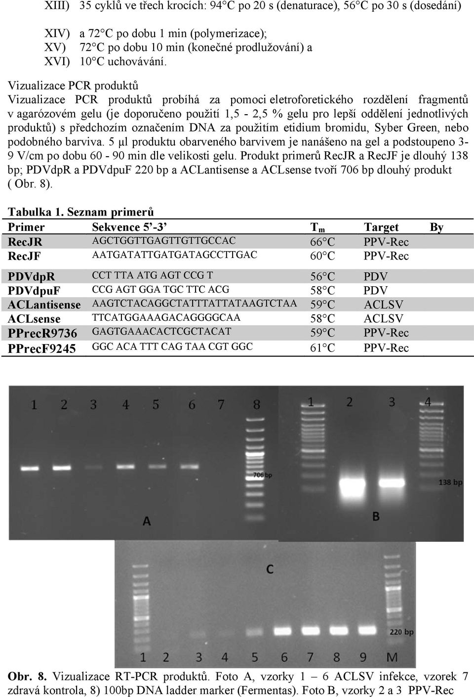 produktů) s předchozím označením DNA za použitím etidium bromidu, Syber Green, nebo podobného barviva.