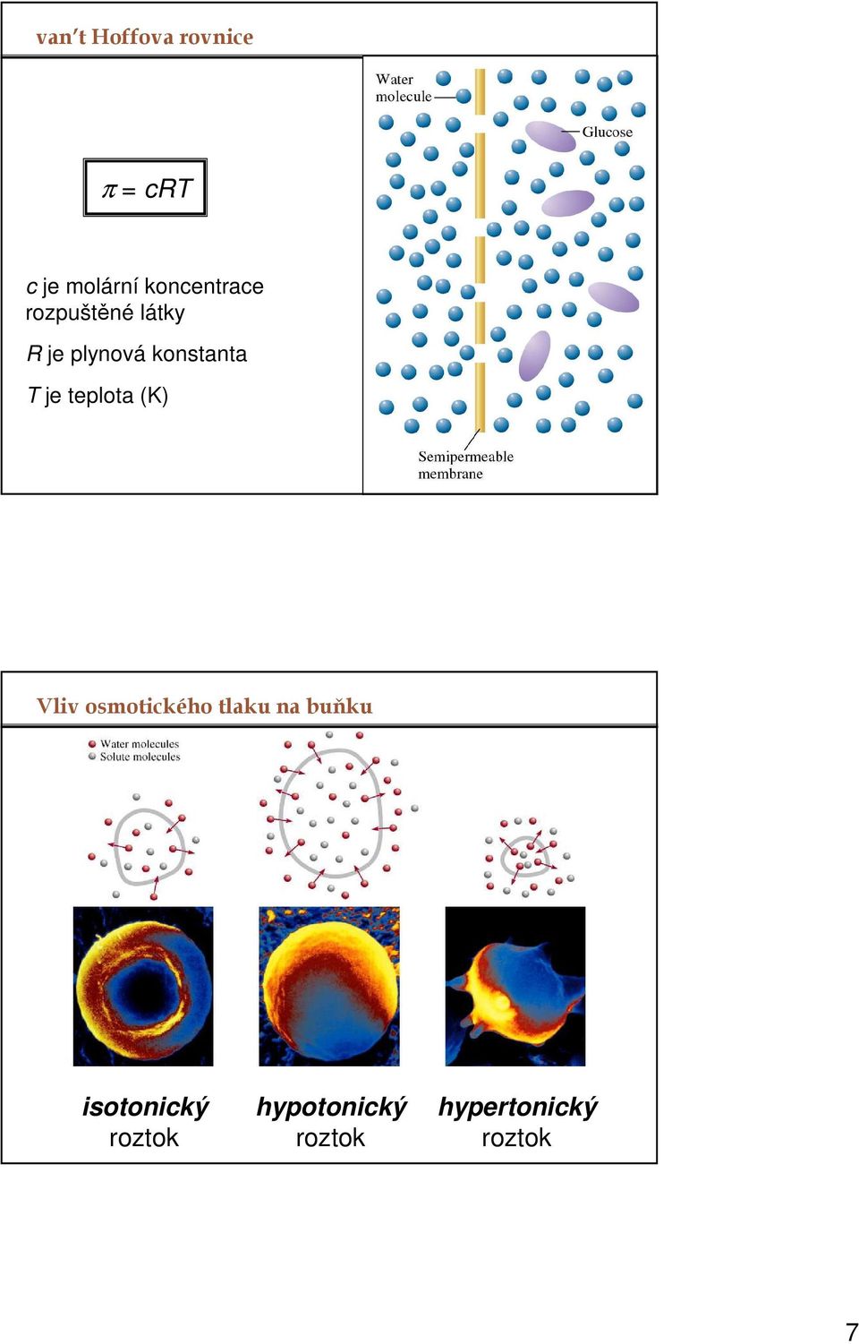 konstanta T je teplota (K) Vliv osmotického tlaku
