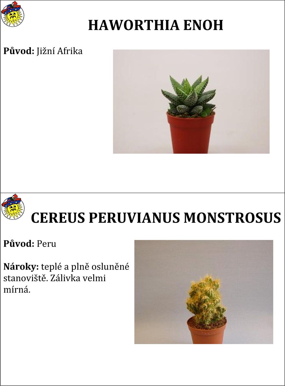 MONSTROSUS Nároky: teplé a plně