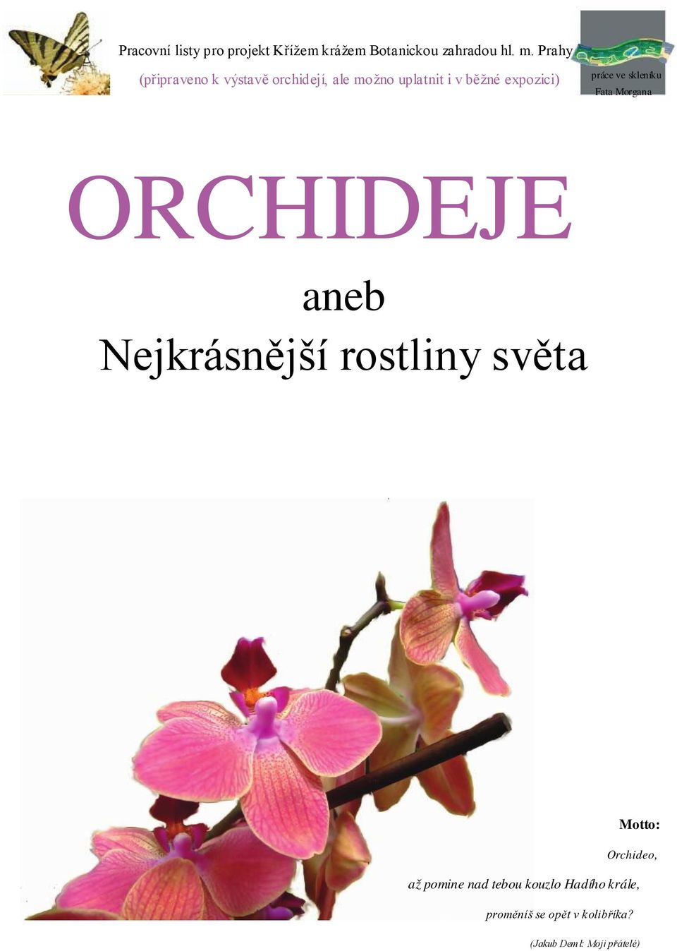 ve skleníku Fata Morgana ORCHIDEJE aneb Nejkrásnější rostliny světa Motto: