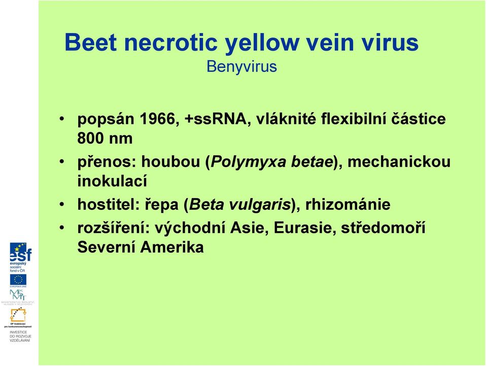 betae), mechanickou inokulací hostitel: řepa (Beta vulgaris),