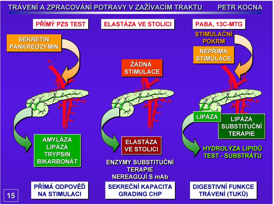 ENZYMY SUBSTITUČNÍ TERAPIE NEREAGUJÍ S mab LIPÁZA LIPÁZA SUBSTITUČNÍ TERAPIE HYDROLÝZA LIPIDŮ