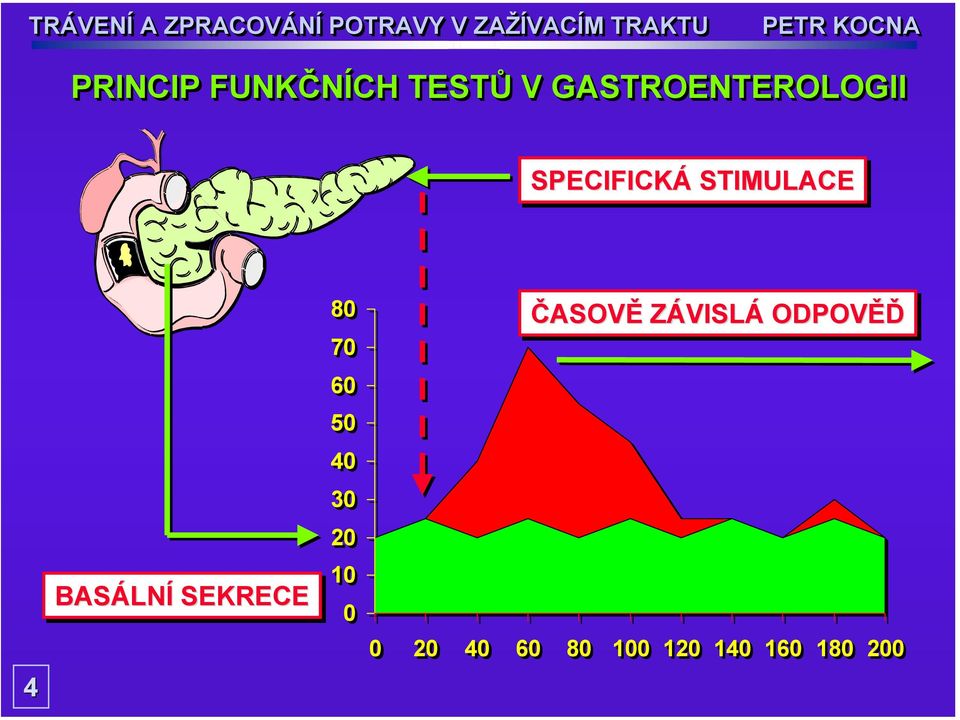 BASÁLNÍ SEKRECE 80 70 60 50 40 30 20 10 0