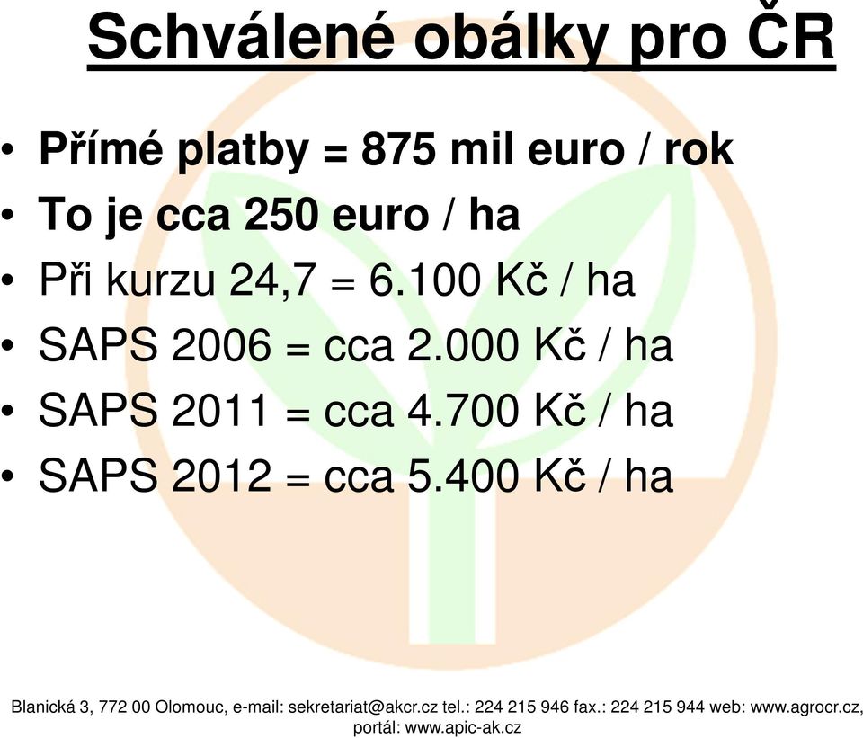 = 6.100 Kč / ha SAPS 2006 = cca 2.