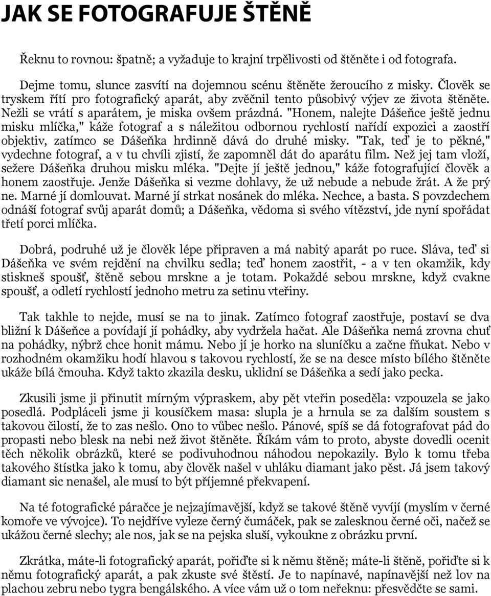 "Honem, nalejte Dášeňce ještě jednu misku mlíčka," káže fotograf a s náležitou odbornou rychlostí nařídí expozici a zaostří objektiv, zatímco se Dášeňka hrdinně dává do druhé misky.