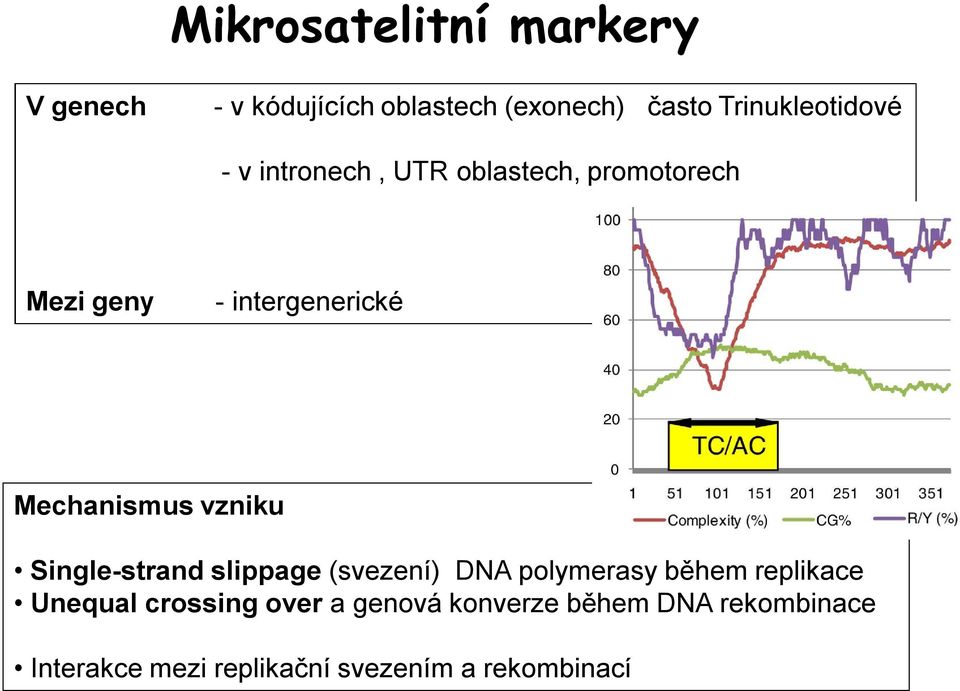 Mechanismus vzniku Single-strand slippage (svezení) DNA polymerasy během replikace