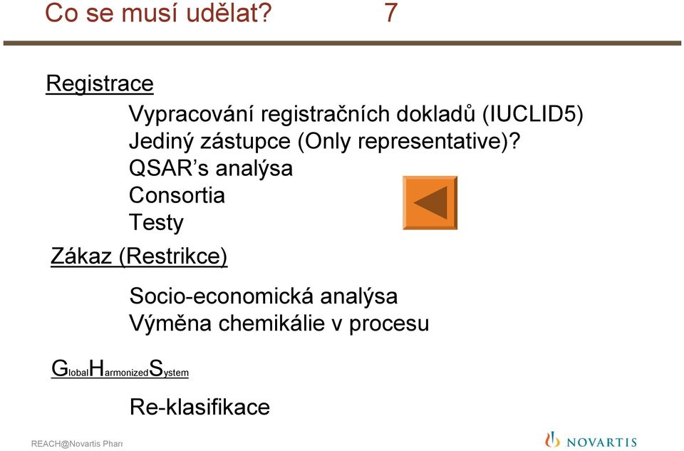 zástupce (Only representative)?