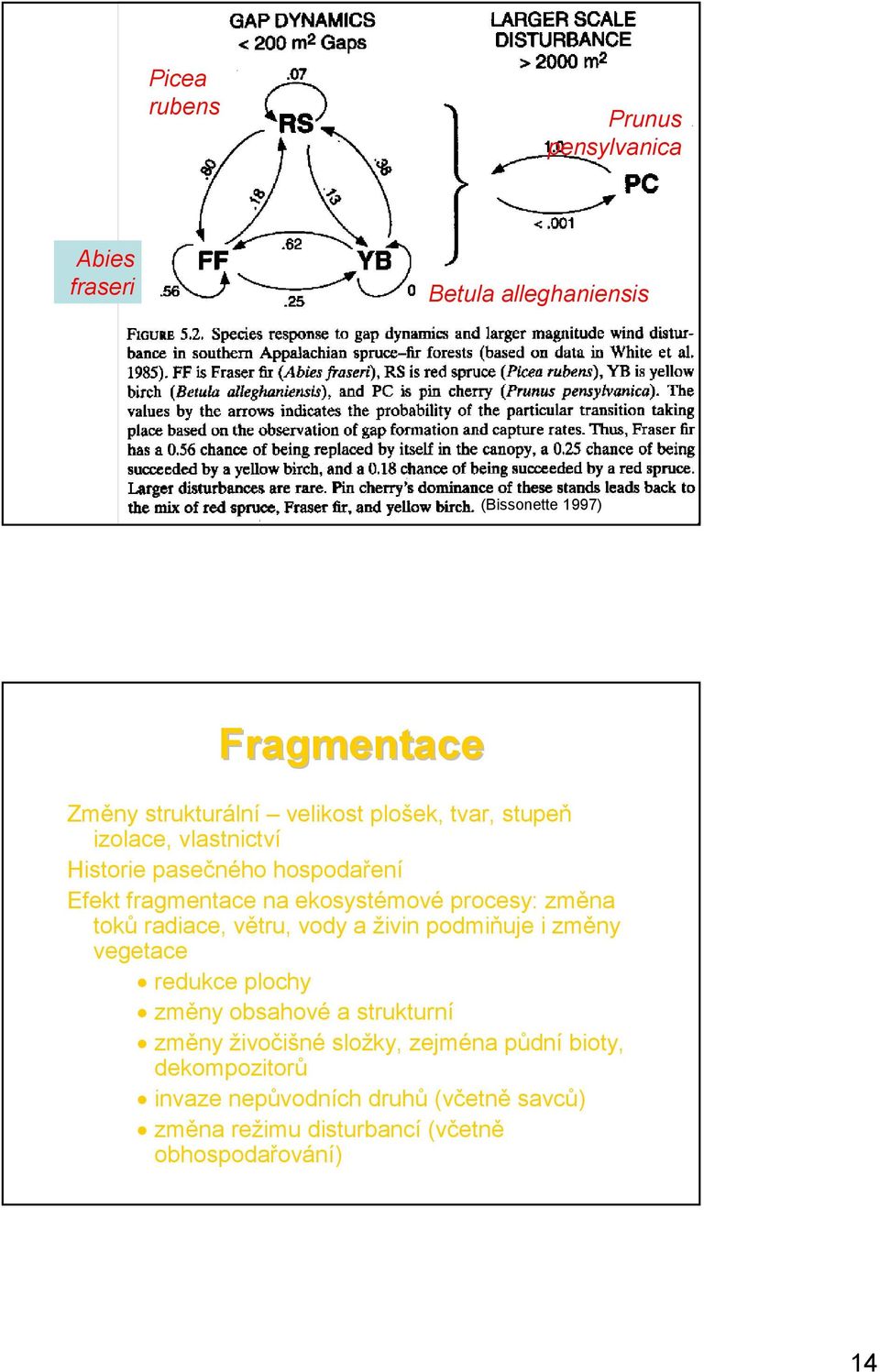 změna toků radiace, větru, vody a živin podmiňuje i změny vegetace redukce plochy změny obsahové a strukturní změny živočišné