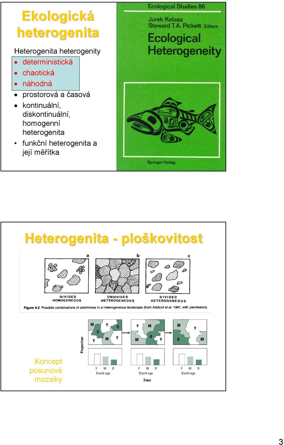 kontinuální, diskontinuální, homogenní heterogenita funkční