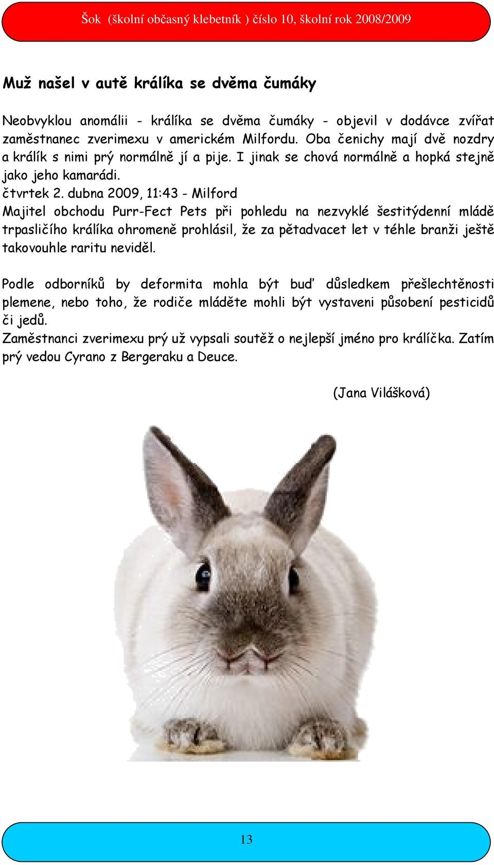 dubna 2009, 11:43 - Milford Majitel obchodu Purr-Fect Pets při pohledu na nezvyklé šestitýdenní mládě trpasličího králíka ohromeně prohlásil, že za pětadvacet let v téhle branži ještě takovouhle