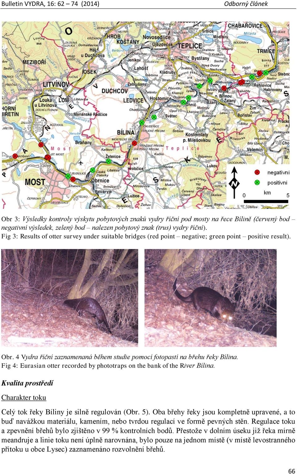 Fig 4: Eurasian otter recorded by phototraps on the bank of the River Bílina. Kvalita prostředí Charakter toku Celý tok řeky Bíliny je silně regulován (Obr. 5).