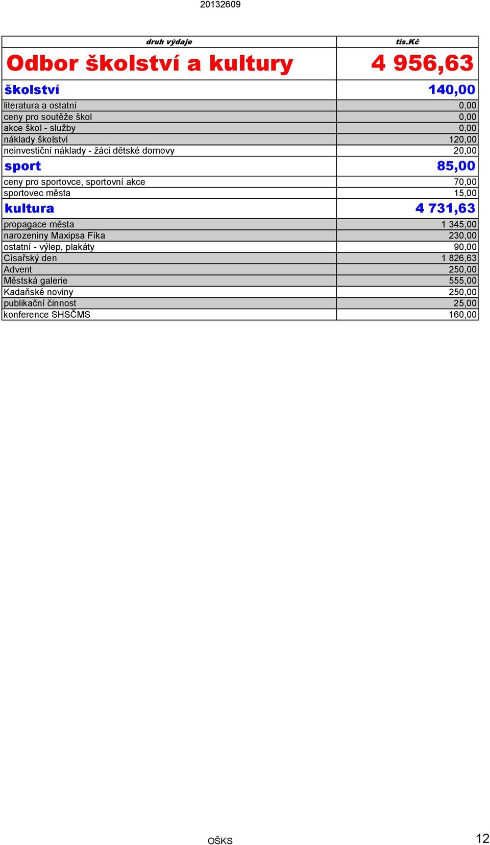 sportovec města 15,00 kultura 4 731,63 propagace města 1 345,00 narozeniny Maxipsa Fíka 230,00 ostatní - výlep, plakáty 90,00