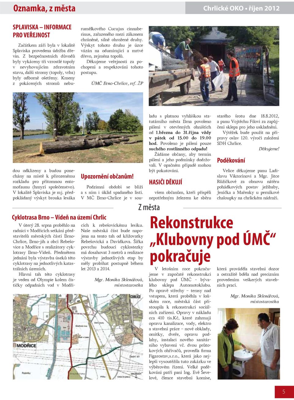 ŽP Začátkem září byla v lokalitě Splaviska provedena údržba dřevin.