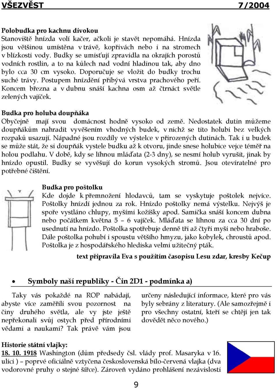 Postupem hnízdění přibývá vrstva prachového peří. Koncem března a v dubnu snáší kachna osm až čtrnáct světle zelených vajíček.