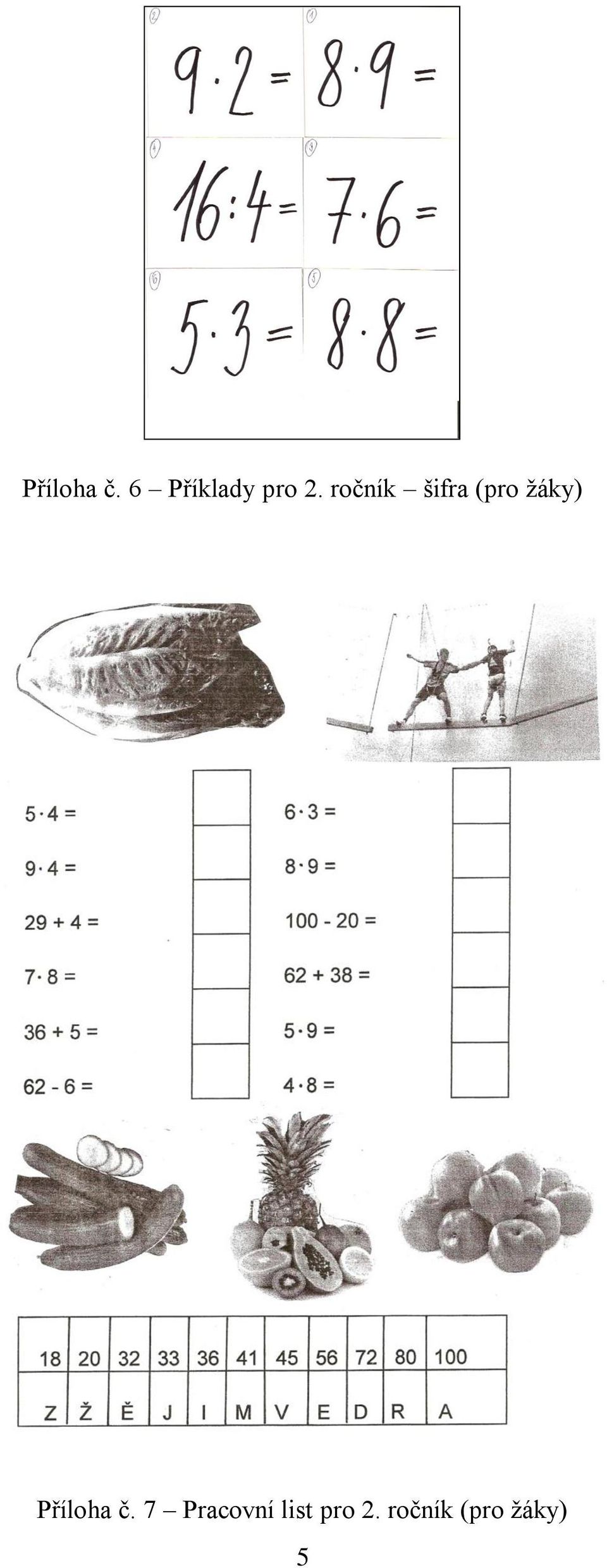 ročník šifra (pro žáky)  7