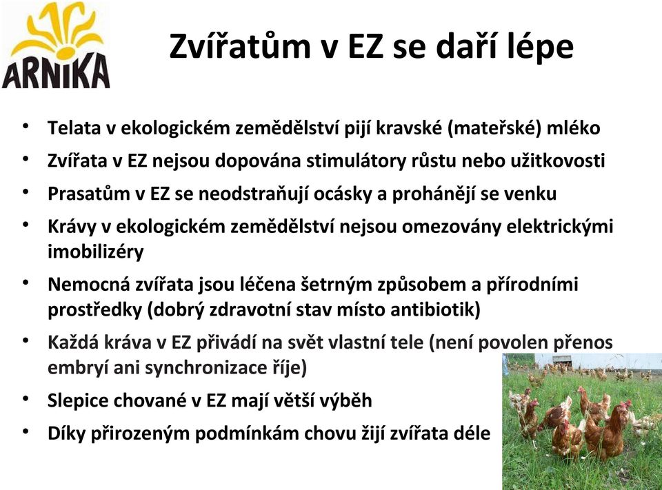 Nemocná zvířata jsou léčena šetrným způsobem a přírodními prostředky (dobrý zdravotní stav místo antibiotik) Každá kráva v EZ přivádí na svět