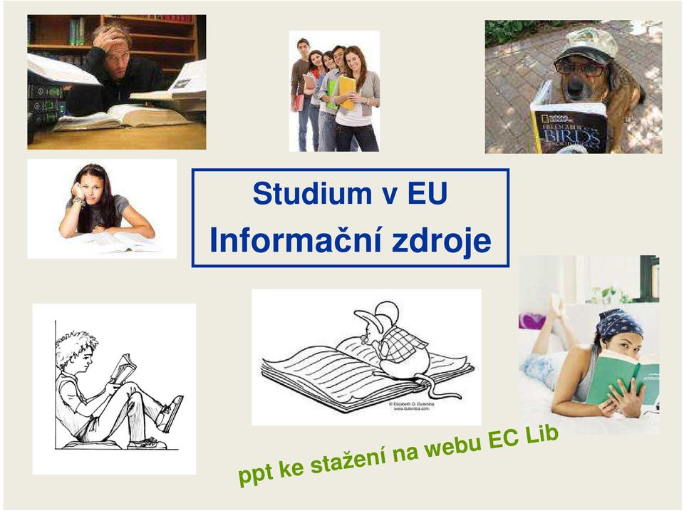 Studium v EU