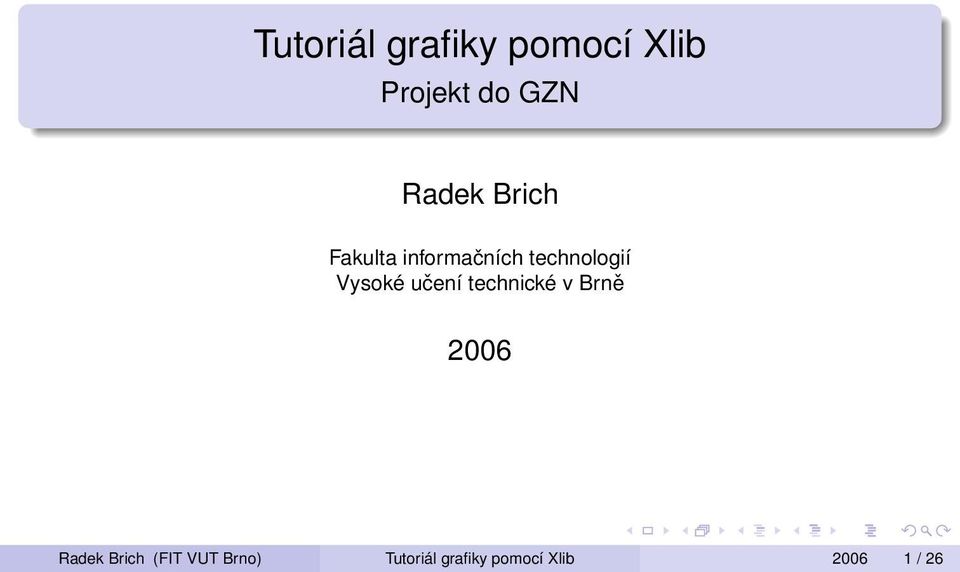 Vysoké učení technické v Brně 2006 Radek Brich