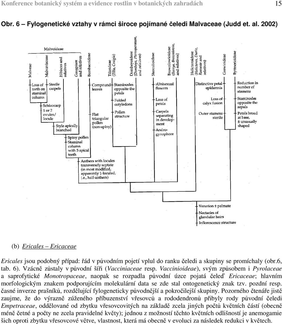 Vaccinioideae), svým způsobem i Pyrolaceae a saprofytické Monotropaceae, naopak se rozpadla původní úzce pojatá čeleď Ericaceae; hlavním morfologickým znakem podporujícím molekulární data se zde stal