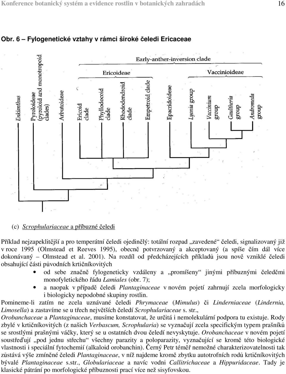 již v roce 1995 (Olmstead et Reeves 1995), obecně potvrzovaný a akceptovaný (a spíše čím dál více dokonávaný Olmstead et al. 2001).