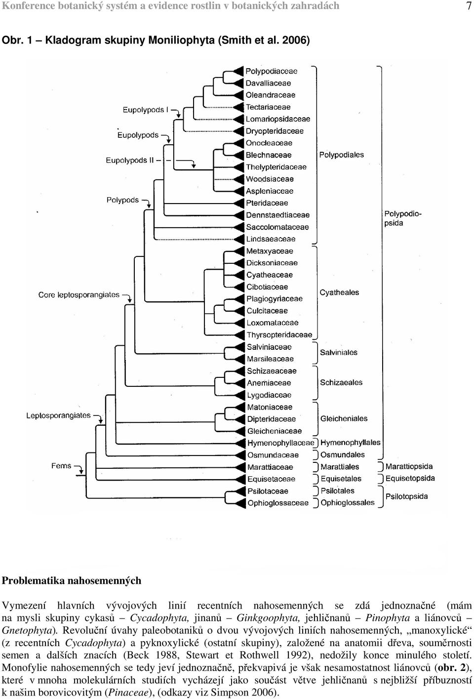 liánovců Gnetophyta).