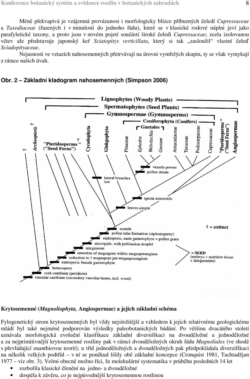 japonský keř Sciatopitys verticillata, který si tak zasloužil vlastní čeleď Sciadopityaceae.