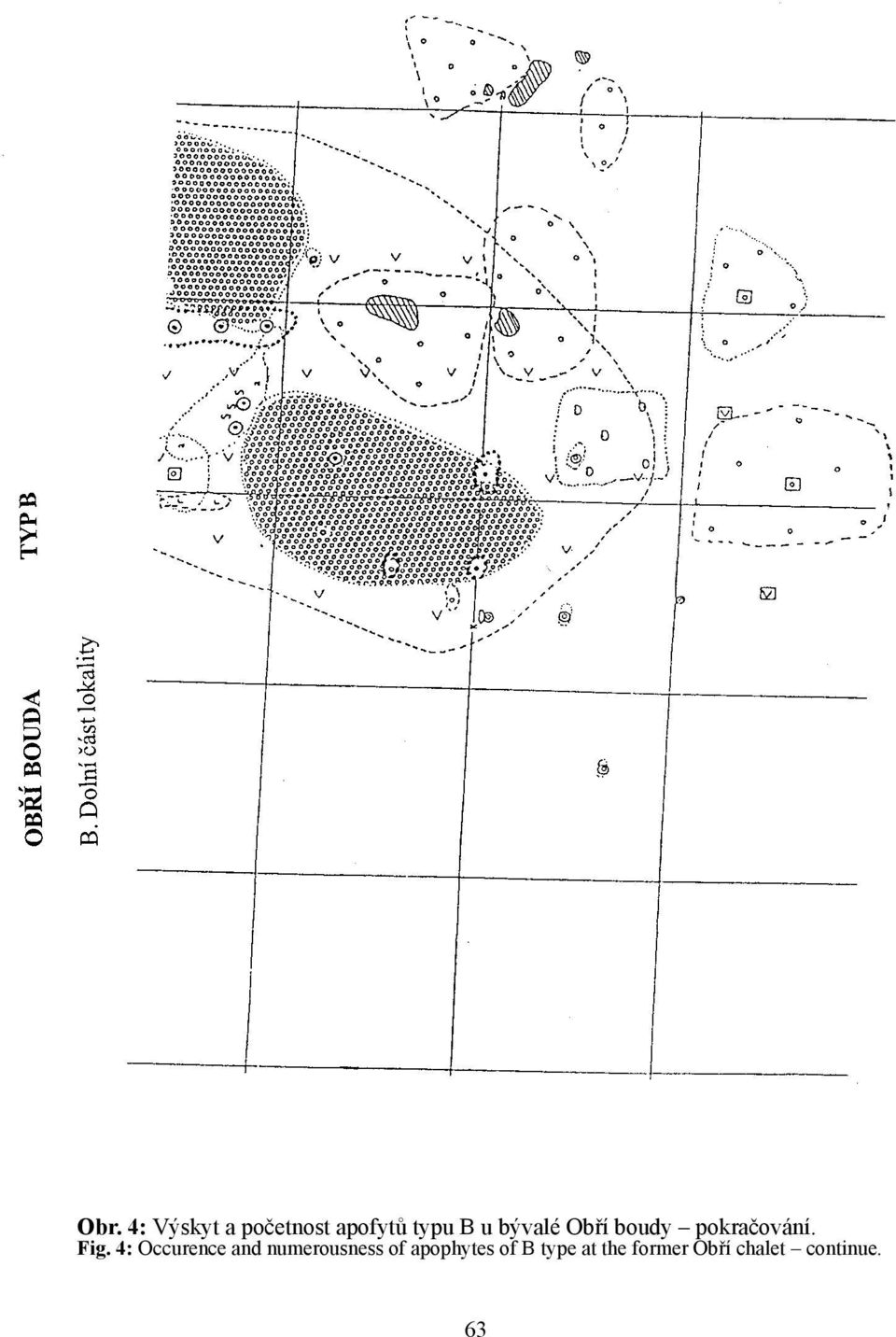 4: Occurence and numerousness of apophytes