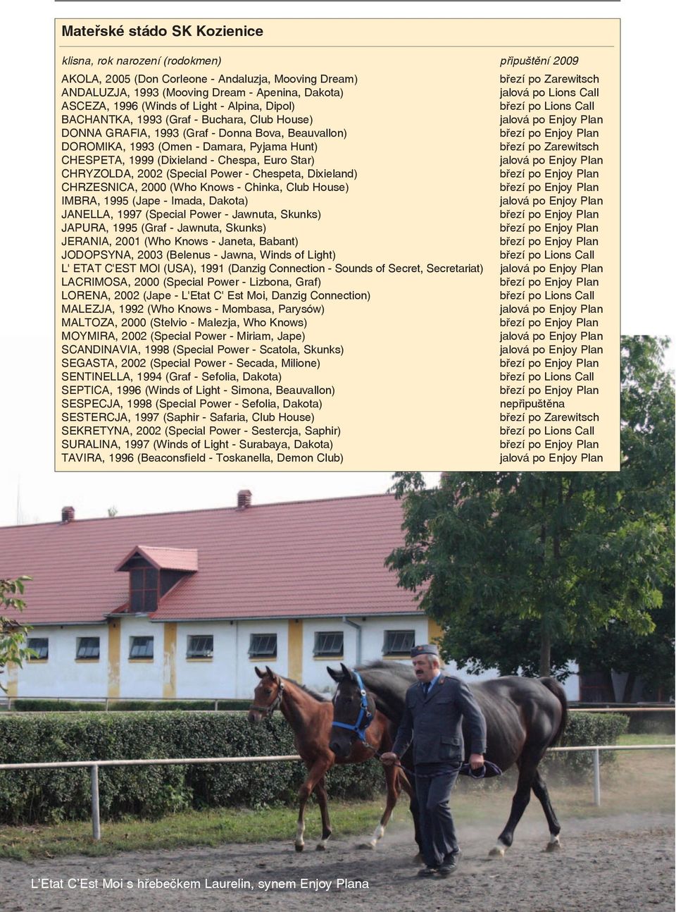 Pyjama Hunt) březí po Zarewitsch CHESPETA, 1999 (Dixieland - Chespa, Euro Star) CHRYZOLDA, 2002 (Special Power - Chespeta, Dixieland) CHRZESNICA, 2000 (Who Knows - Chinka, Club House) IMBRA, 1995