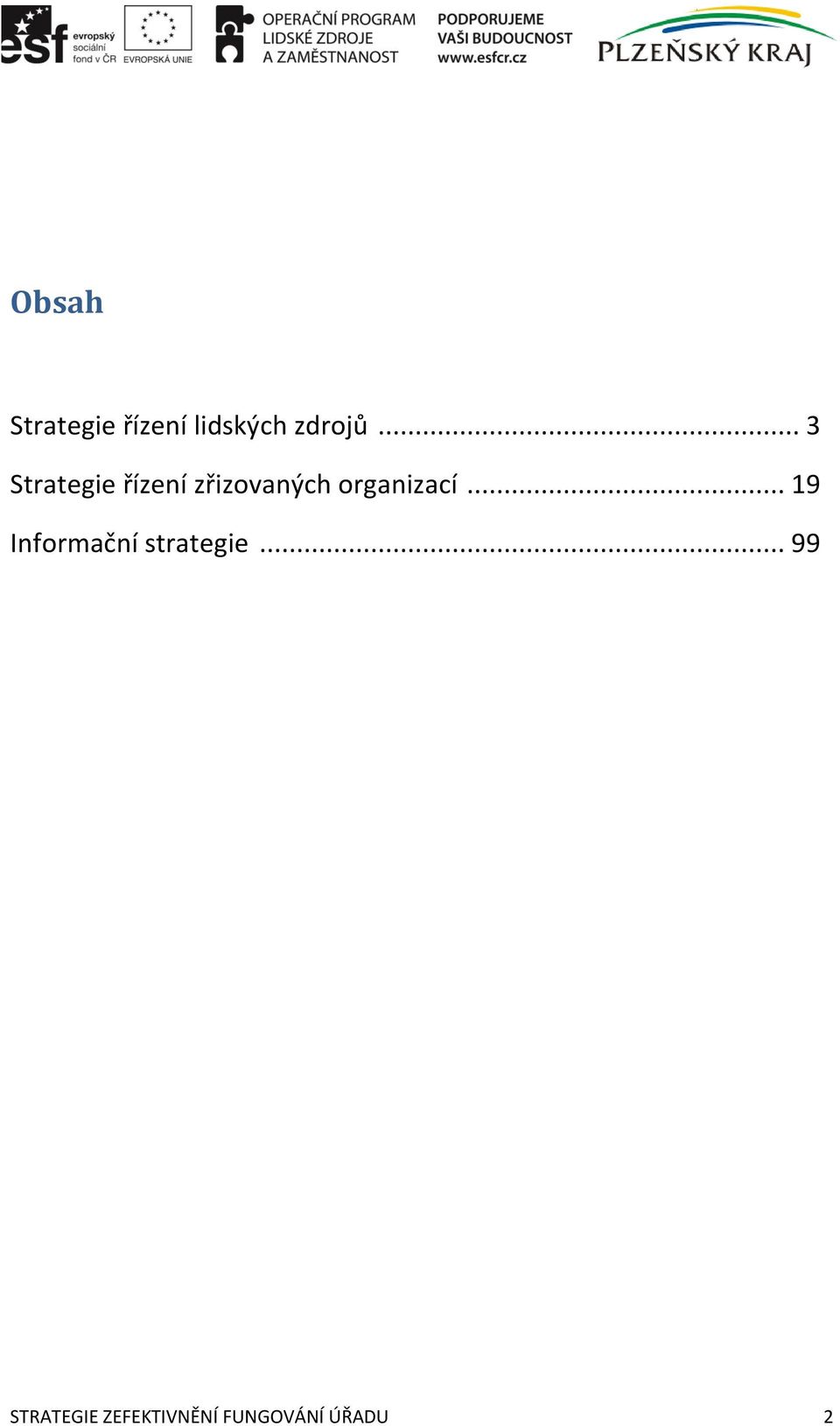 organizací... 19 Informační strategie.