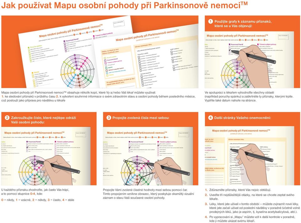 (DD/MM/RR). Obtíže, na které se chci nejvíce soustředit, jsou: Moje schopnost pohybu je snížená/chybí.