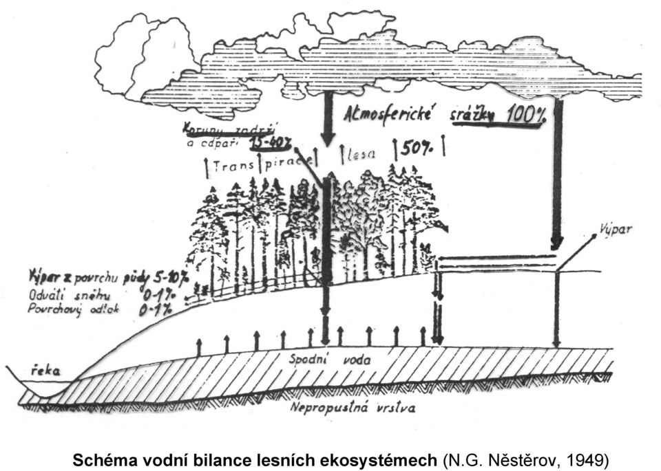 ekosystémech (N.