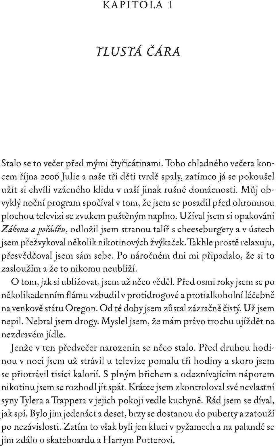 Můj obvyklý noční program spočíval v tom, že jsem se posadil před ohromnou plochou televizi se zvukem puštěným naplno.