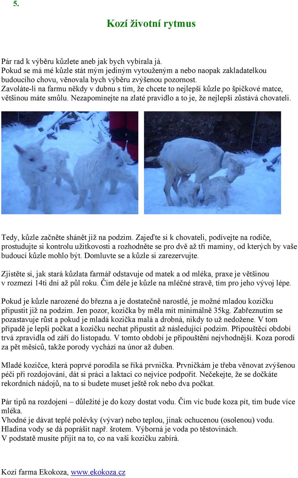 Zavoláte-li na farmu někdy v dubnu s tím, že chcete to nejlepší kůzle po špičkové matce, většinou máte smůlu. Nezapomínejte na zlaté pravidlo a to je, že nejlepší zůstává chovateli.