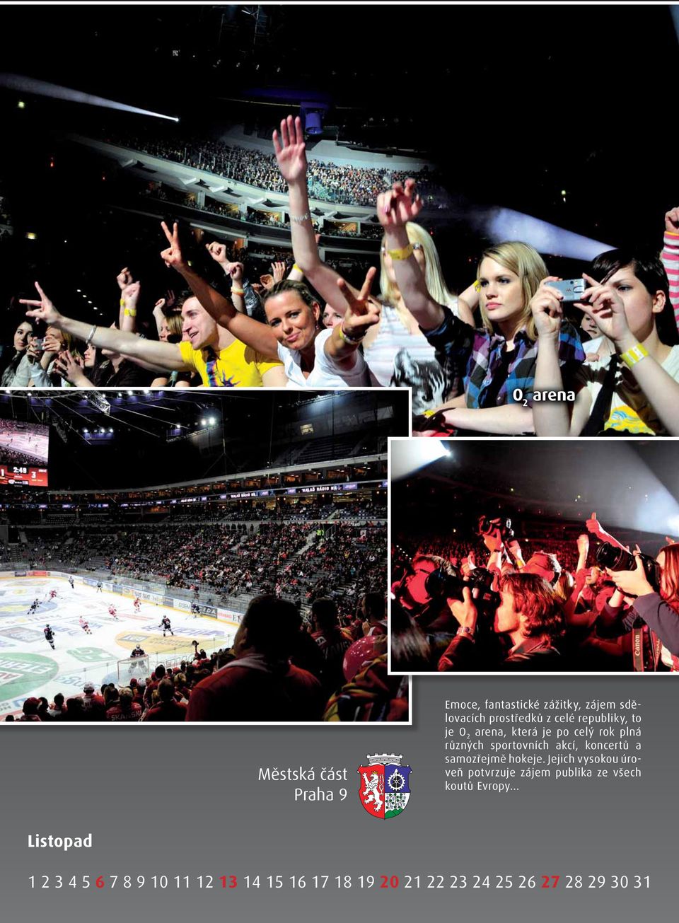 rok plná různých sportovních akcí, koncertů a samozřejmě hokeje.