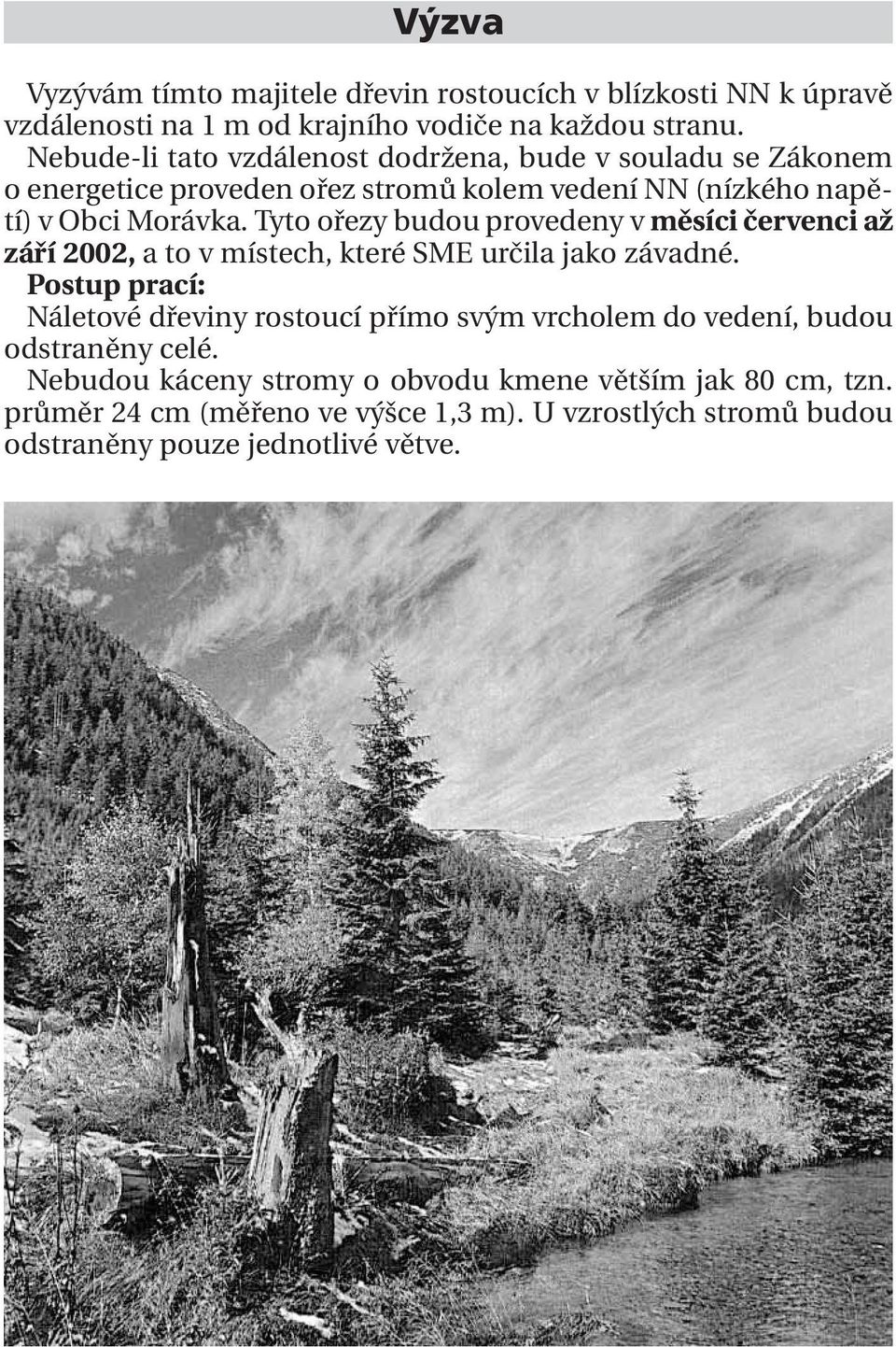 Tyto ořezy budou provedeny v měsíci červenci až září 2002, a to v místech, které SME určila jako závadné.