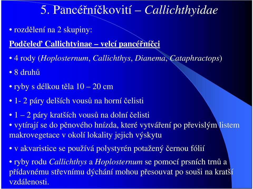 pěnového hnízda, které vytváření po převislým listem makrovegetace v okolí lokality jejich výskytu v akvaristice se používá polystyrén potažený