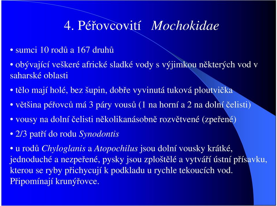 vyvinutá tuková ploutvička většina péřovců má 3 páry vousů (1 na horní a 2 na dolní čelisti) vousy na dolní čelisti několikanásobně