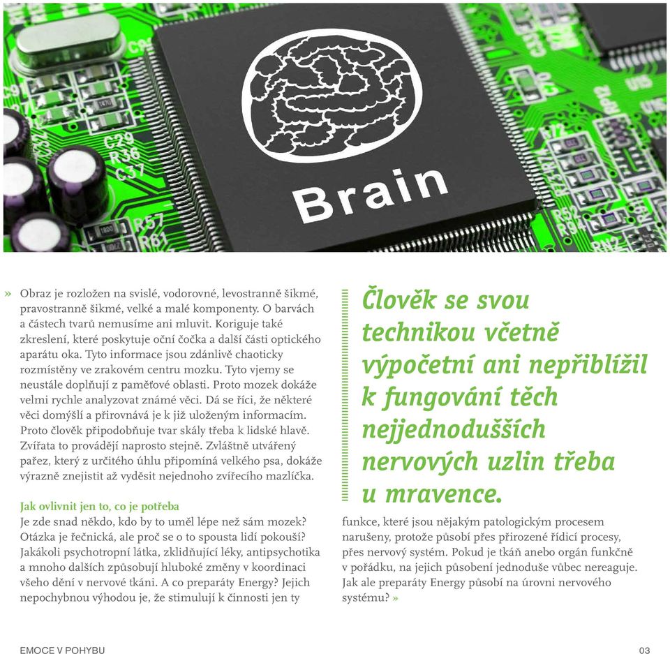 Tyto vjemy se neustále doplňují z paměťové oblasti. Proto mozek dokáže velmi rychle analyzovat známé věci. Dá se říci, že některé věci domýšlí a přirovnává je k již uloženým informacím.