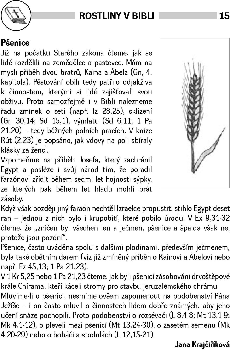 Iz 28,25), sklízení (Gn 30,14; Sd 15,1), výmlatu (Sd 6,11; 1 Pa 21,20) tedy bìných polních pracích. V knize Rút (2,23) je popsáno, jak vdovy na poli sbíraly klásky za enci.