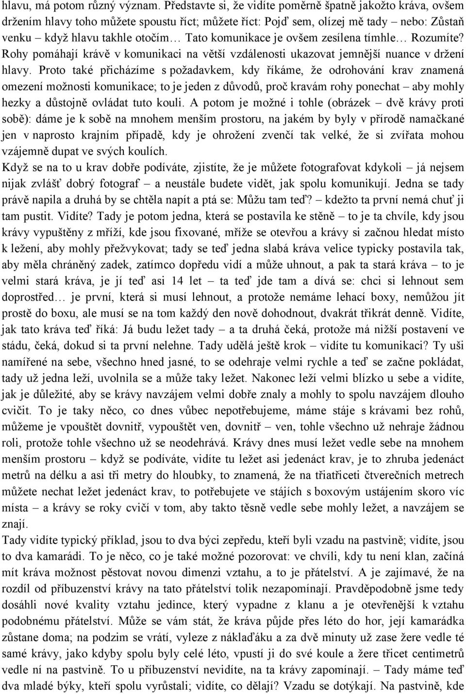 je ovšem zesílena tímhle Rozumíte? Rohy pomáhají krávě v komunikaci na větší vzdálenosti ukazovat jemnější nuance v držení hlavy.