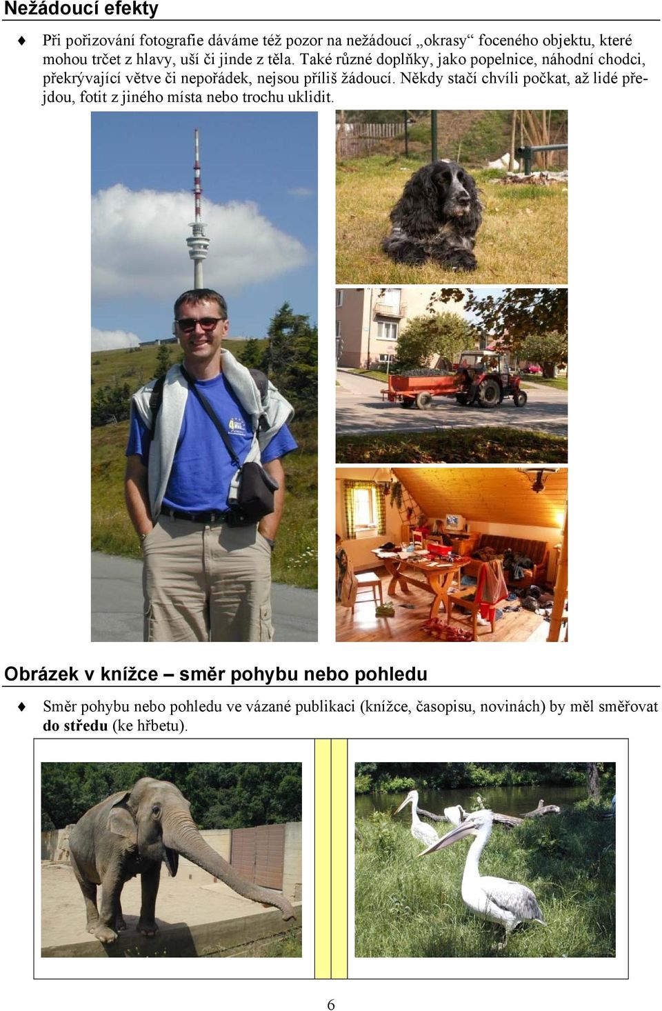 Také různé doplňky, jako popelnice, náhodní chodci, překrývající větve či nepořádek, nejsou příliš žádoucí.