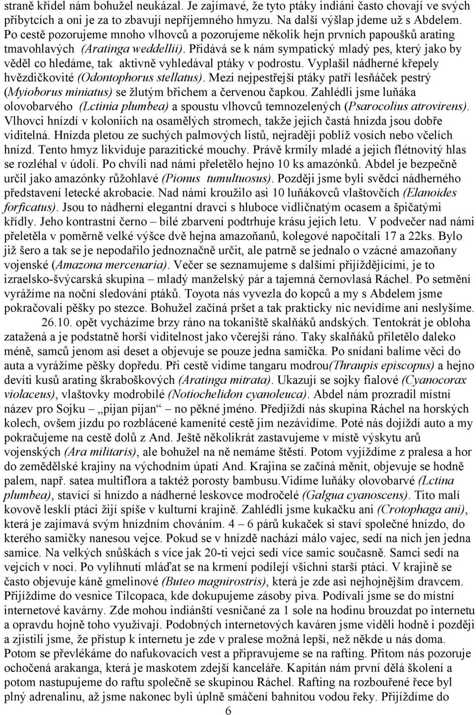 Přidává se k nám sympatický mladý pes, který jako by věděl co hledáme, tak aktivně vyhledával ptáky v podrostu. Vyplašil nádherné křepely hvězdičkovité (Odontophorus stellatus).