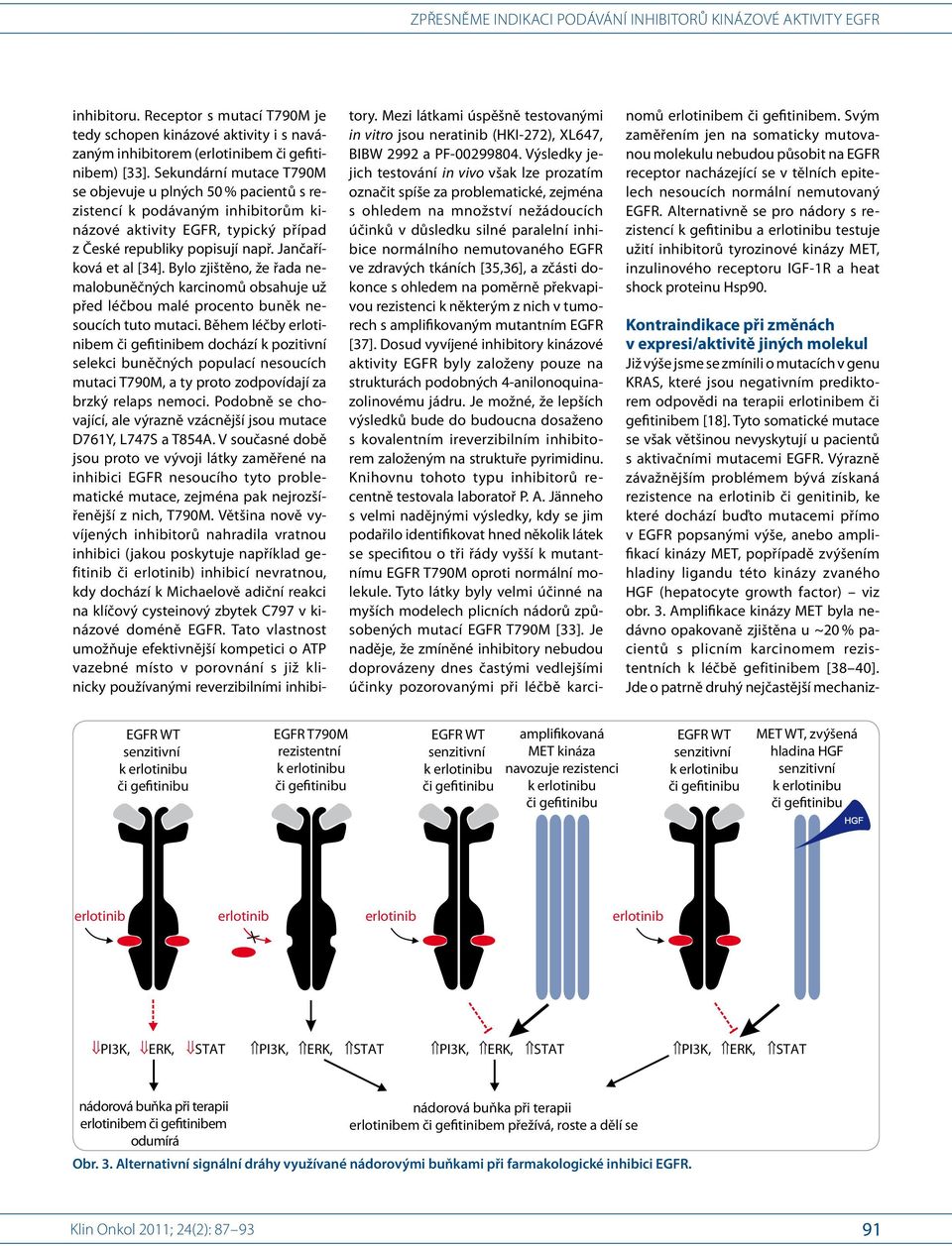 EGFR WT EGFR T790M rezistentní EGFR WT amplifikovaná MET kináza navozuje rezistenci EGFR WT MET WT, zvýšená hladina HGF HGF PI3K, ERK, STAT PI3K, ERK, STAT PI3K, ERK, STAT PI3K, ERK, STAT nádorová