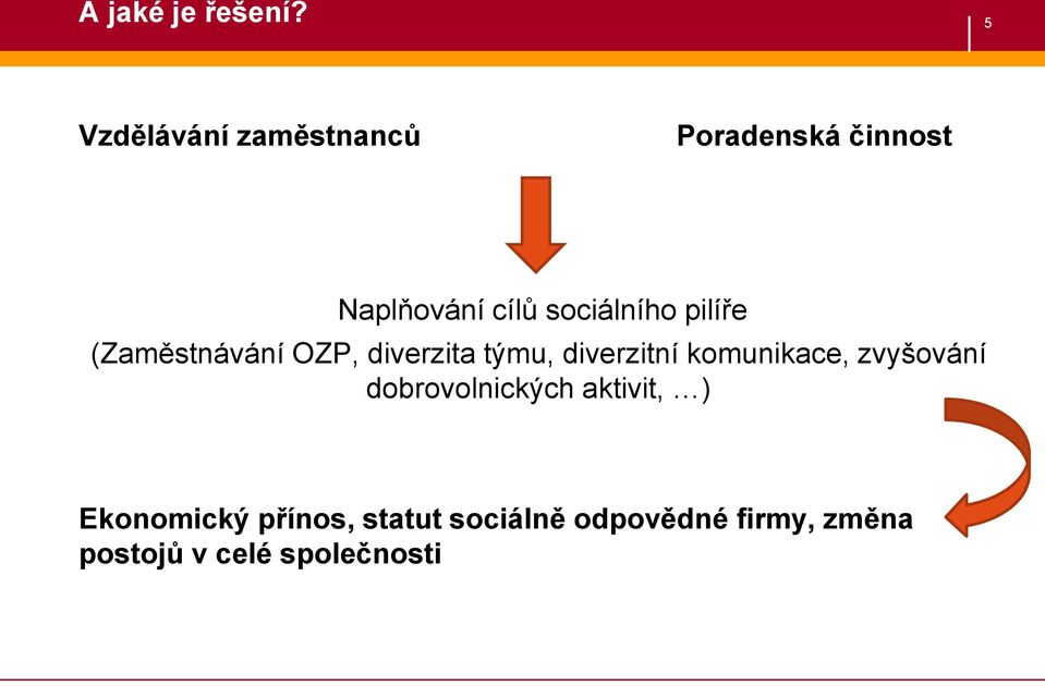 sociálního pilíře (Zaměstnávání OZP, diverzita týmu, diverzitní