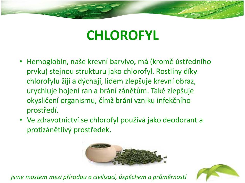 Rostliny díky chlorofylu žijí a dýchají, lidem zlepšuje krevní obraz, urychluje hojení ran a
